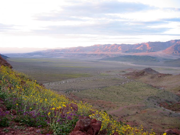 081.1DeathValleySunrise